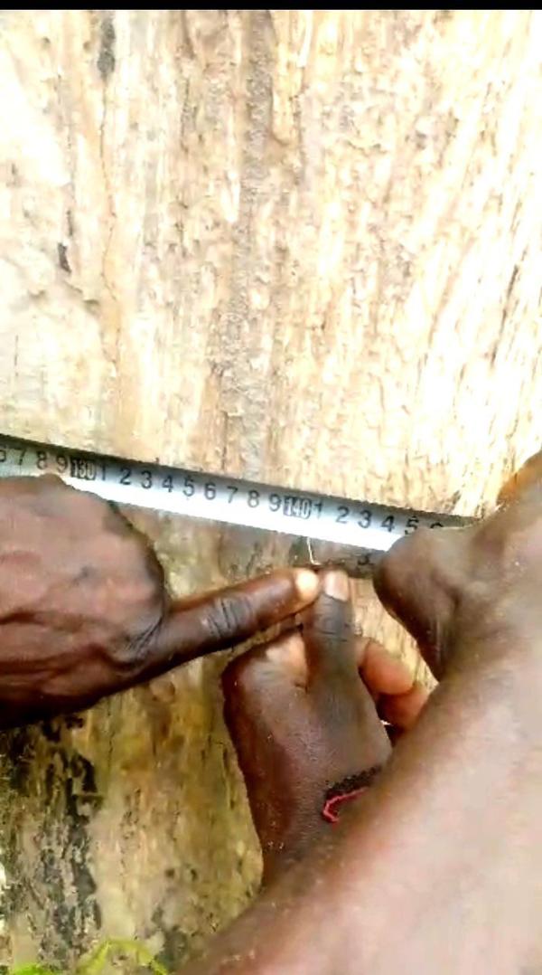  Opportunité - mine terrain concession vente en c&ocirc;te d'ivoire une parcelle dans le d&eacute;partement de ferk&eacute; pr&eacute;cis&eacute;ment &agrave; badika 1900 hectares avec tf urbain au prix de 3500 le m2
