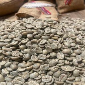  Trader Cafe Vert Robusta Afrique - café cacao thé robusta afrique disponible fob/cif/cfr nous sommes &agrave; la recherche des importateurs marocains pour un partenariat durable notre vision est de faciliter le sourcing et n&eacute;gociation et gestion des op&eacute;rations