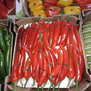  Piment Vendre - fruits et légumes  . nous sommes une soci&eacute;t&eacute; d'export de fruits et l&eacute;gumes et nous cherchons pour un bon partenaire ou bien un client pour cette compagnie produits disponibles sonts avoca fraise framboise orange et pomme de terre carotte courge choux menthe persile () 
