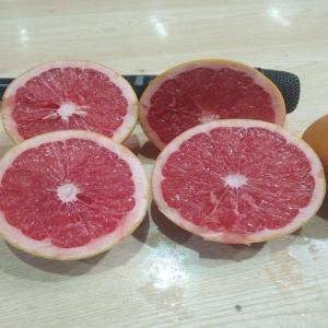  Pamplemousse Vendre - fruits et légumes bonjour . nous sommes une soci&eacute;t&eacute; d'export de fruits et l&eacute;gumes et nous cherchons pour un bon partenaire ou bien un client pour cette compagnie produits disponibles sonts avoca ,  fraise,  framboise,  orange et pomme de terre , carotte,  courge ,  choux,  menthe ,  persile (...)--