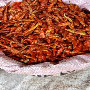  Piment Séché - épices aromates urgent - piment séché --des centaines de tonnes de piment --séché  disponibles au mali à un prix très abordable.--merci de nous contacter via whatsapp pour vos commandes.