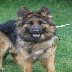  Vente En Tout Genre - autres nous sommes des particuliers et nous travaillons dans plusieurs domaines et nous pouvons fournir tout genre de produit en stock exp&eacute;dition 