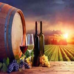 Destockage De Bordeaux Superieur - vins destockage de vin de bordeaux superieur millesime 2020 et 2021 vendu a la palette (600 bouteilles) prix h.t 1 95  la bouteille de 75cl stock disponible region parisienne . n'h&eacute;sitez pas &agrave; nous consulter .