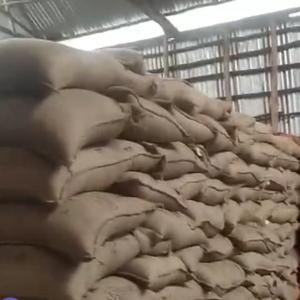  Café Vert Et Cacao Haut De Gamme - coffee cocoa tea café robusta et arabica - originaire de tanzanie,  kenya,  madagascar,  ouganda,  et congo,  disponible en différents grades (screen 12,  14,  16,  18),  avec des options de café vert brut ou lavé pour répondre à tous vos besoins. emballage en sacs de jute de 60 kg p