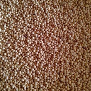  Graines Soja - céréales notre soci&eacute;t&eacute; bas&eacute;e au b&eacute;nin fournit des graines de soja en grande quantit&eacute; et &agrave; des prix comp&eacute;titifs. du soja cultiv&eacute; dans le respect de l'environnement nous sommes joignables sur whatsapp et mail.