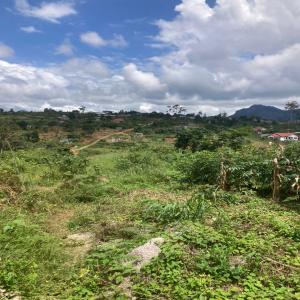  Vendre Terrains Exceptionnels Mbankomo - mine terrain concession &agrave; vendre terrains exceptionnels a mbankomo yaounde saisissez cette opportunit&eacute; !!! 	prix 15 000 fcfa le m² 	superficies disponibles •	3 000 m² •	1 024 m² •	1 500 m² 	morc&egrave;lement possible &agrave; partir de 500 m² contactez nous d&egrave;s maintenant pour