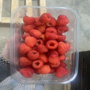  Framboise 125g Vendre - fruits et légumes  nous sommes une entreprise bas&eacute;e au maroc et nous exportons des fruits et l&eacute;gumes frais et congel&eacute; en europe. nous avons une grande quantit&eacute;s d'avocats et d'avocats huss a vendre. nous avons &eacute;galement des autre fruits et l&eacute;gumes a vendre. si vo