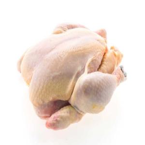  10 Containers De Poulet Halal Disponible - viandes et oeufs  j'ai 10 containers de poulet entier disponible d'origine br&eacute;silienne vous pouvez faire votre demande nous avons la possibilit&eacute; de vous fournir plus mais 10 containers pour commencer avec des clients s&eacute;rieux. pour plus d'informations ou d'autres produits contacter nous 