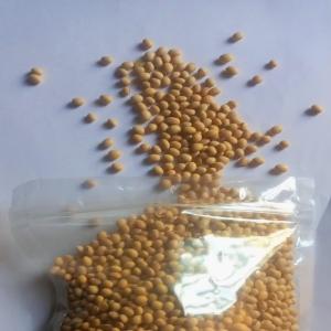  Organic Soybean Bulk Quantity - cereals soyabean available in bulk quantities. origin nigeria / togo / burkina 2024 2025 crop protein 38% min on dry basis oil 21% min green/black/blue/damaged /dead/foreign seeds 1% max moisture 10% max leaf /twigs 0.5% max soil /stone 1.5% max insects 0.0% dead or alive wee