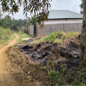  Terrain Titre Et Loti En Vente Mfou - mine terrain concession - prix- 9000 fcfa le m2--- superficie- 3000m2--- morcelable &agrave; partir de - 300m2--- description- derri&egrave;re le lyc&eacute;e bilingue de mfou &agrave; 500 m du goudron--- types de projets possibles - mini cit&eacute;es,  r&eacute;sidences priv&eacute;es--