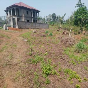  Terrain Titre Et Loti Vendre Nyom - mine terrain concession   prix 14500 fcfa le m2  superficie 4000m2  morcelable &agrave; partir de 300m2  description nyom lieu dit mindjomo new city &agrave; 1 6 km de l'axe principal  types de projets possibles mini cit&eacute;es r&eacute;sidences priv&eacute;es whatsappp http //wa.me/237692850584 