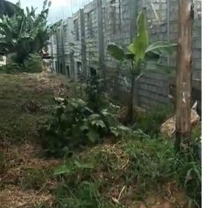  Terrain Titre Et Loti En Vente Ekoumdoum- - mine terrain concession - prix- 35000fcfa le m2--- superficie - 1022m2--- description - lieu dit chez la chef a 150 du goudron et a 1, 5km du carrefour ekoumdoum--nb- la superficie est non morcelable--transaction par devant notaire