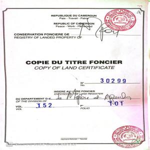  Vendre Terrain Titre Elat Yaounde - mine terrain concession terrain titre et loti a vendre a elat yaounde---	prix- 8000fcfa /m²---	superficie - 2933m²---	morcelable à partir de - m²---	description - situé à 50 mètres carrefour elat en bordure de l’axe principal---	types de projets possibles - activité commerciale,  super mar