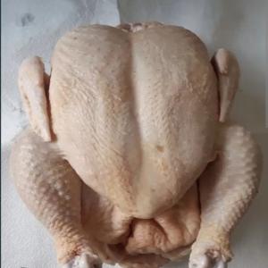  Poulet 1.40  Kg. Poids 1.3-1.6 Kg. - viandes et oeufs nous vendons du poulet pesant entre 1 3 et 1 6 kg. origine du poulet d'ukraine. il est possible de venir &agrave; la production. il est possible de faire du halal. il est possible d'etre pr&eacute;sent lors de la pr&eacute;paration de votre commande. paiement et ensuite seulement nous pr&eacute;pa