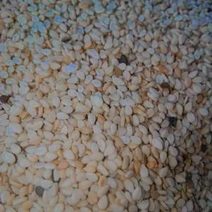  Sesam Available - roasted seeds and nuts hello dears buyers we are suppliers of dried ginger dry turmeric sesam pepper coconut red palm oil. etc better quality sufficient quantity and better price. west africa 