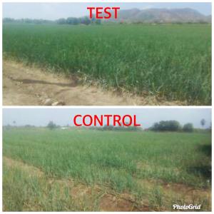  Seeking Agents/representatives Worldwide - employment representation announcement looking for people with contacts in the agricultural world we are looking for representatives internationally for the company optoma quanta to help farmers to increase their yield using quantum frequency. our company is specializing in innovative agricultural solutions based on