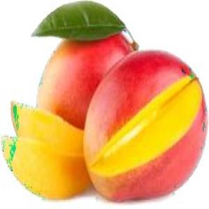  Mangue De Colombie - fruits et légumes distribution et exportation de mangues de qualit&eacute; sup&eacute;rieure en provenance de colombie. livraison au port de destination de votre pr&eacute;f&eacute;rence (rotherdam anvers dunkerque etc) incoterms fob ou cif possible &eacute;galement par avion. notre soci&eacute;t&eacute; implant&