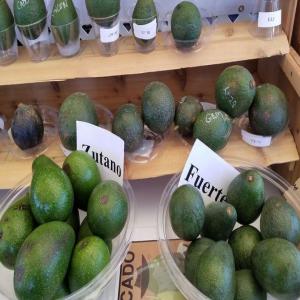  Fresh Avocado Pears - fruits et légumes we are distributors and wholesale supplier of fresh fruits and vegetables like cavendish banana, avocado pears, lemon, apple, mango,  we sell at good prices and our products comes with all necessary papers.feel free to contact for more details and recent photos.