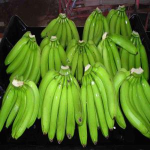  Fresh Cavendish Banana Available - fruits and vegetables we are distributors and wholesale supplier of fresh fruits and vegetables like cavendish banana,  avocado pears, lemon, apple, mango,  lemongrass,  we sell at good prices and our products comes with all necessary papers. feel free to contact for more details and recent photos.