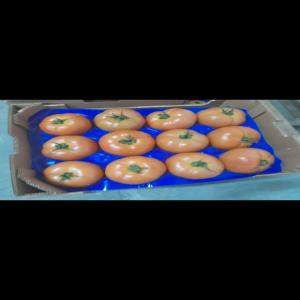  Tomates - fruits et légumes nous vous proposons des tomates fra&icirc;ches de qualit&eacute;,  cultiv&eacute;es avec soin pour garantir leur saveur intense et leur fra&icirc;cheur.