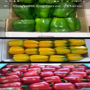  Poivrons De Californie - fruits et légumes nous vous proposons des poivrons de californie,  cultivés dans des conditions idéales pour offrir une saveur douce et croquante.