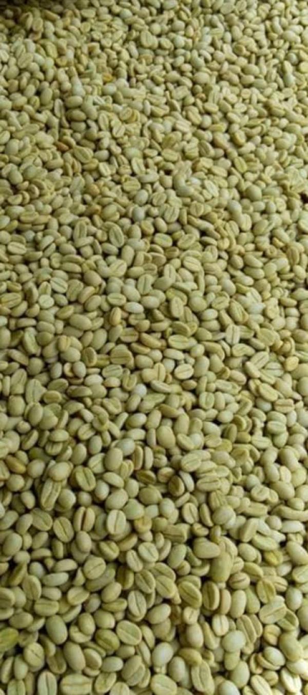  Vente De Quelques Produits - autres la société offres de production et d'exportation de café arabica,  robusta et de cacao découvrez l'excellence de nos produits! nous sommes fiers de vous présenter notre gamme premium de café arabica,  café robusta et cacao,  cultivés avec soin dan