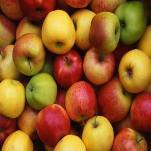  Apples - fruits and vegetables we have apples and other fruits available and ready for shipment, we sell at affordable prices and our apples comes with documents.