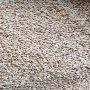  Vente De Soja, Sésame, Mile, Maïs, Sorgho... - céréales nous sommes une entreprise ,  vente de sésame,  soja,  sorgho,  mile.--a ce qui concerne le sésame,  nous pouvons livrer 1000/tonnes ,  le soja 1000/tonnes.----pays - burkina faso --faite nous confiance.  --slogan - un bon travail mérite la confiance.