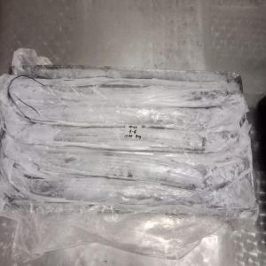  Ribbon Fish - fish ribbon fish available from indonesia --only main buyers please --thank you to send your request with quantity desired and destination --best regards --