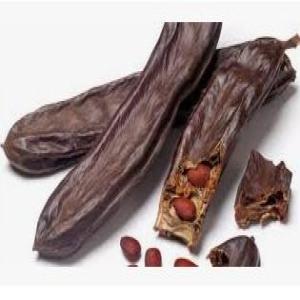  Ceratonia Siliqua - fruits et légumes       ceratonia siliqua          