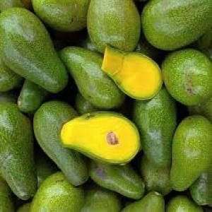  Avocado Pear - fruits and vegetables we have sweet great an avocado pear available and ready for shipment, we sell at affordable prices and our pears come with all documents