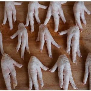  Pattes De Poulet - viandes et oeufs bonjour,  nous proposons les pattes de poulet depuis le br&eacute;sil avec les agr&eacute;ments d'exportation vers la chine &agrave; partir de 1 containers prix varie entre 3640 et 3750$ cif chine pour toutes demandes veiller nous contacter nous disposons aussi de poulet,  sucre,  caf&eacute; et beauco