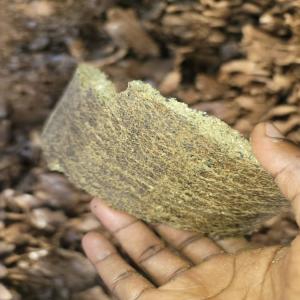  Tourteau De Coton Son De Blé Sogobalo Etc. - aliments pour animaux nous sommes une entreprise agro industrielle. notre usine produit de l aliments pour betails et volailles notamment du tourteau de coton &agrave; korhogo (nord cote d ivoire) et nous fournissons &eacute;galement &agrave; nos clients du son de bl&eacute; sogobalo pro du maïs blanc et rouge tourte