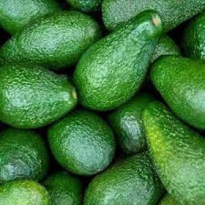  Avocado Pear - fruits and vegetables we have sweet great an avocado pear available and ready for shipment, we sell at affordable prices and our pears come with all documents