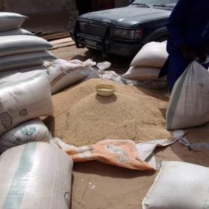  Demande D'un Client - céréales nous mettons sur le march&eacute; international une qualit&eacute; de sesame blanc produit au niger dans la r&eacute;gion de zinder.un groupe des riverains ont produit plus de 1000 tonnes de sesame cette ann&eacute;e.notre entreprise est charg&eacute;e de collecter et traiter le sesame. nous voudrio