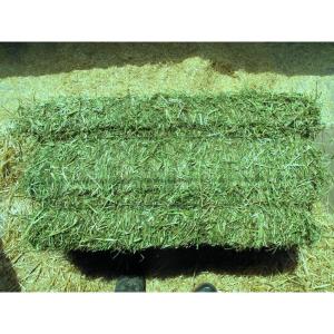  Special Animal Feeds For All - feed we are producers and wholesale distributors of animal feeds like alfalfa,  timothy hay,  fish meal and we sell at affordable prices,  our products come with all documents,  and we do fast and reliable shipping.feel free to contact for more details,  offer price and stock photos.