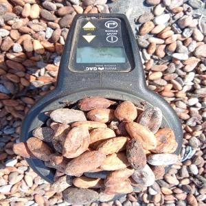  Café, Cacao, Thé Et Anacarde, Sésame - café cacao thé caf&eacute; cacao th&eacute; et anacarde s&eacute;same disponible en guin&eacute;e conakryune importante quantit&eacute; disponible socor sarlu est une entreprise de droit guin&eacute;en avec une forte exp&eacute;rience dans ce domaine