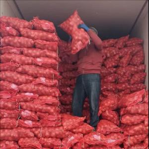  Fresh Red And Yellow Onions Available In Bulk - fruits and vegetables dear ladies and gentlemen, our wild onions lampascioni are harvested manually in areas where they grow spontaneously and without pesticides. they are selected and certified for phytosanitary quality to guarantee 100% fresh quality  natural onions. available in small,  medium and large sizes packed in 