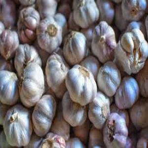  Garlic - aromatic spices we have garlics available and ready for shipment,  we sell at affordable prices and our garlics come with documents.