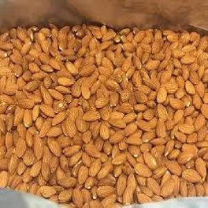 Almond Nuts - horticulture plante biocarburant we have almond nuts available and ready for shipment,  we sell at affordable prices and our almond nuts come with documents.