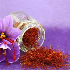  Safran Catégorie - épices aromates safran bio premium origine maroc | directement du producteur | fils purs et intenses | qualit&eacute; sup&eacute;rieure