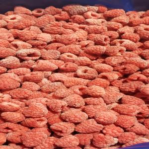  Framboises Surgelées - fruits et légumes nous avons le plaisir de vous informer que nous disposons actuellement de framboises surgelées de haute qualité,  en provenance directe du maroc. ces produits bénéficient de toutes les certifications nécessaires et sont accompagnés danalyses détaill&ea