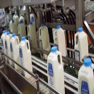  Avalon Milk - milk and milk products we have avalon milk available and ready for shipment, we sell at affordable prices and our milk come with all documents