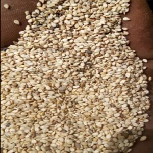  Vente De Sésame Blanc Du Tchad - céréales nous,  une entreprise de négoce,  cherchons des potentiels clients piur la vente de sésame blanc produit au tchad,  soigneusement nettoyé,  conditionné dans des sacs de 50kg et disponible au tchad.documents nécessaires disponibles- certificat d'origine,  certificat de c