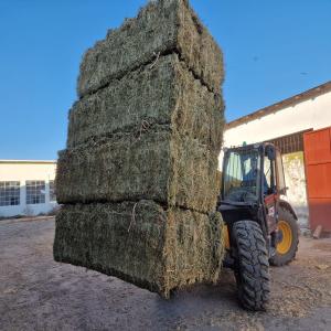 ALFALFA DEHYDRAT - feed dehydrat alfalfa - medicago sativa l.  alfalfa contains up to 20% protein,  making it an excellent source of this essential nutrient for animals. it is also packed with vitamins and minerals,  including vitamins a,  b,  c,  e,  and k,  as well as calcium,  iron,  and phosphorus. in addition,  it is also high 