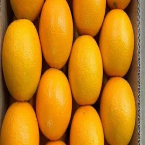  Orange Valancia Maroc Vendre - fruits et légumes bonjour, nous sommes basés au maroc,  et nous exportons des fruits et légumes frais et congeles en europe.   orange valencia maroc late cat 1 type d'emballage- carton 10 kg / 15 kg pour plus d'informations n'hésitez pas à contacter.  nous sommes interessé pour une co