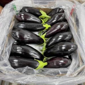  Aubergine Vendre - fruits et légumes bonjour,    nous sommes basés au maroc,  et nous exportons des fruits et légumes frais et congeles en europe.  aubergine de haute qualité,  avec la possibilité d'expédition dans tous les pays du monde,   nous sommes interessé pour une collaboration. nous pouvons