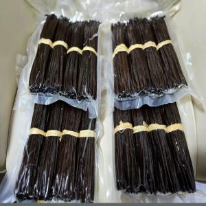  Gourmet Black Vanilla Beans From Madagascar - aromatic spices we are supplying gourmet black vanilla beans from madagascar at the largest quantity and best price. specification item name vanilla beans length 14cm 20cm moisture 30% 35% vanillin 1.6% 2 4% application ice cream pastry extraction cake recipe scientific name vanilla planifolia deli