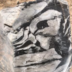  Quarry Of Marble - stone rock we are a company from morocco that has a quarry of fossil marble (dark gray color) ; it s very special we need a partner in extraction and export . 