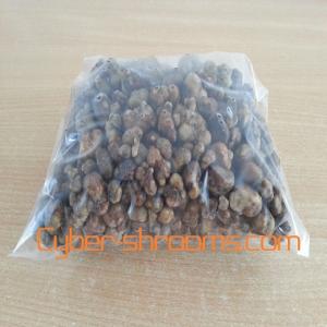  Sweet And Grade Truffles Available -  yeast fungus we are producer,  wholesale supplier and distributor of fresh and dried truffles and we are ready to do good business with trusted clients,  our products are of high and best quality and comes with all test reports. feel free to contact for more details,  offer price and stock photos.